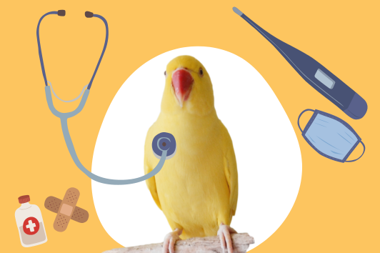A bird who might be sick
